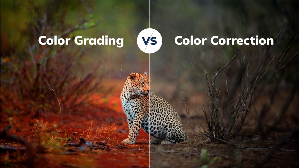 LUT COLOR GRADING